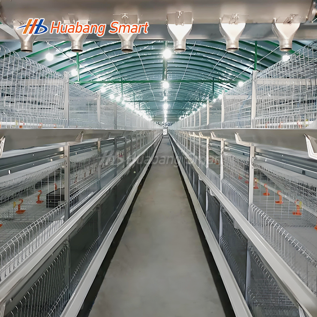 China Broiler Chicken Cage
